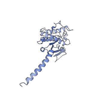 30394_7cky_A_v1-0
Cryo-EM structure of PW0464 bound dopamine receptor DRD1-Gs signaling complex