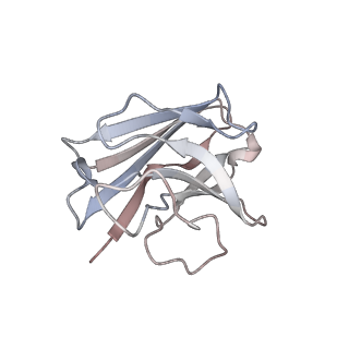 30394_7cky_N_v1-0
Cryo-EM structure of PW0464 bound dopamine receptor DRD1-Gs signaling complex