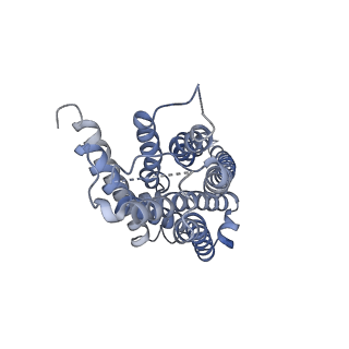30394_7cky_R_v1-0
Cryo-EM structure of PW0464 bound dopamine receptor DRD1-Gs signaling complex