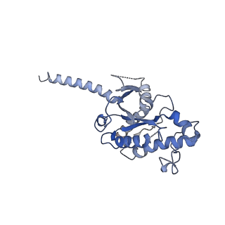 30395_7ckz_A_v1-0
Cryo-EM structure of Dopamine and LY3154207 bound dopamine receptor DRD1-Gs signaling complex