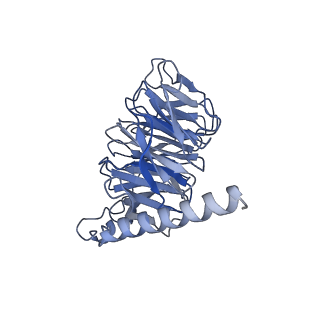 30395_7ckz_B_v1-0
Cryo-EM structure of Dopamine and LY3154207 bound dopamine receptor DRD1-Gs signaling complex