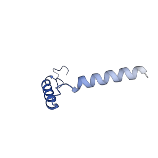 30395_7ckz_G_v1-0
Cryo-EM structure of Dopamine and LY3154207 bound dopamine receptor DRD1-Gs signaling complex