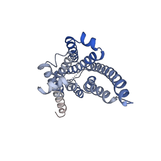 30395_7ckz_R_v1-0
Cryo-EM structure of Dopamine and LY3154207 bound dopamine receptor DRD1-Gs signaling complex