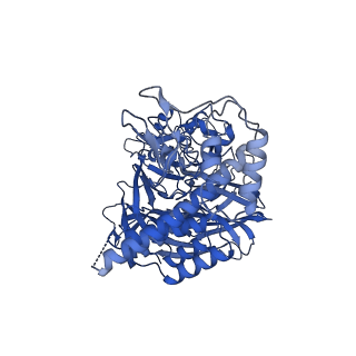 16713_8cli_B_v1-2
TFIIIC TauB-DNA monomer