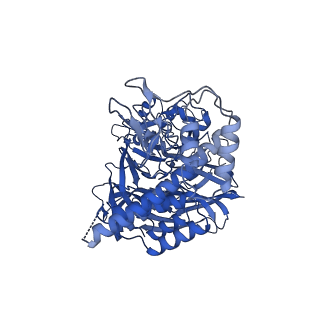 16714_8clj_B_v1-2
TFIIIC TauB-DNA dimer