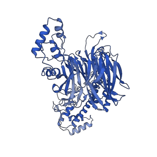 16714_8clj_G_v1-2
TFIIIC TauB-DNA dimer