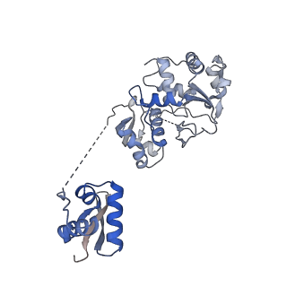 16717_8cll_F_v1-3
Structural insights into human TFIIIC promoter recognition