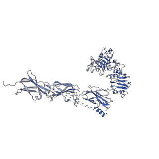 16718_8cls_A_v1-0
Drosophila melanogaster insulin receptor ectodomain in complex with DILP5