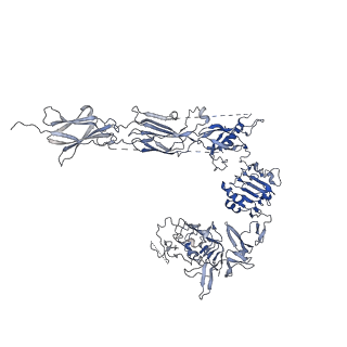 16718_8cls_B_v1-0
Drosophila melanogaster insulin receptor ectodomain in complex with DILP5