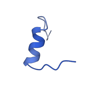 16718_8cls_H_v1-0
Drosophila melanogaster insulin receptor ectodomain in complex with DILP5