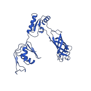 30398_7clr_H_v1-2
CryoEM structure of S.typhimurium flagellar LP ring
