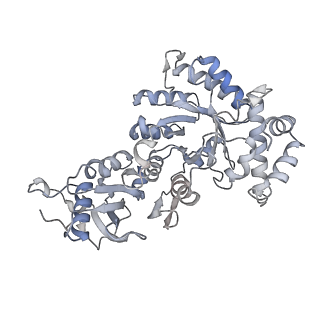 15409_8cmy_A_v1-3
Structure of the Cyanobium sp. PCC 7001 determined with C1 symmetry