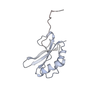 15409_8cmy_B_v1-3
Structure of the Cyanobium sp. PCC 7001 determined with C1 symmetry