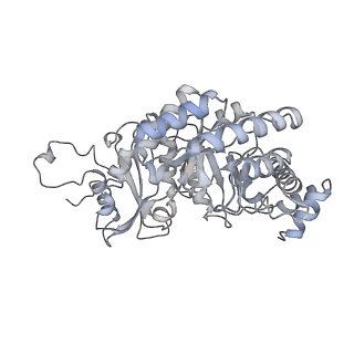 15409_8cmy_C_v1-3
Structure of the Cyanobium sp. PCC 7001 determined with C1 symmetry