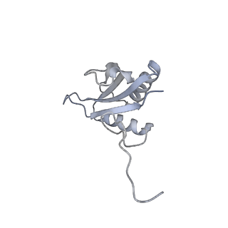 15409_8cmy_D_v1-3
Structure of the Cyanobium sp. PCC 7001 determined with C1 symmetry