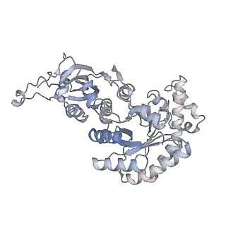 15409_8cmy_E_v1-3
Structure of the Cyanobium sp. PCC 7001 determined with C1 symmetry
