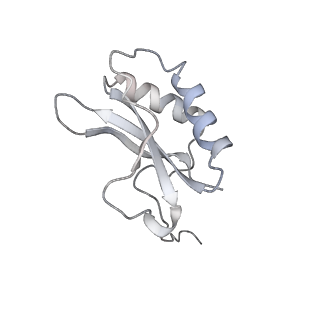 15409_8cmy_F_v1-3
Structure of the Cyanobium sp. PCC 7001 determined with C1 symmetry