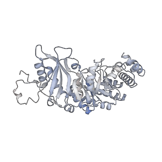 15409_8cmy_G_v1-3
Structure of the Cyanobium sp. PCC 7001 determined with C1 symmetry