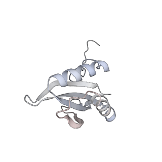 15409_8cmy_H_v1-3
Structure of the Cyanobium sp. PCC 7001 determined with C1 symmetry
