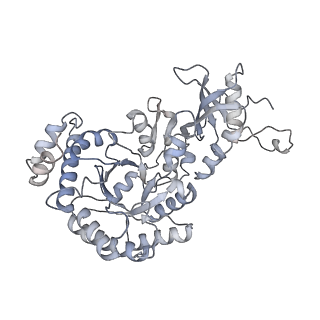 15409_8cmy_I_v1-3
Structure of the Cyanobium sp. PCC 7001 determined with C1 symmetry