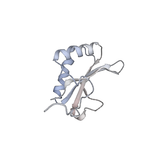 15409_8cmy_J_v1-3
Structure of the Cyanobium sp. PCC 7001 determined with C1 symmetry