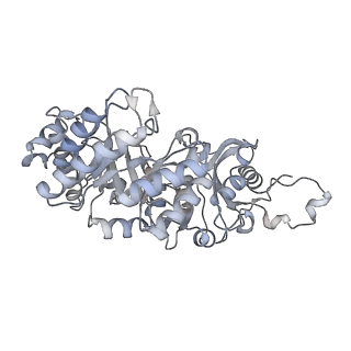 15409_8cmy_K_v1-3
Structure of the Cyanobium sp. PCC 7001 determined with C1 symmetry