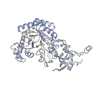 15409_8cmy_M_v1-3
Structure of the Cyanobium sp. PCC 7001 determined with C1 symmetry