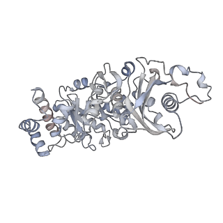 15409_8cmy_O_v1-3
Structure of the Cyanobium sp. PCC 7001 determined with C1 symmetry