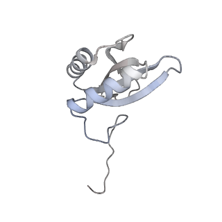 15409_8cmy_P_v1-3
Structure of the Cyanobium sp. PCC 7001 determined with C1 symmetry