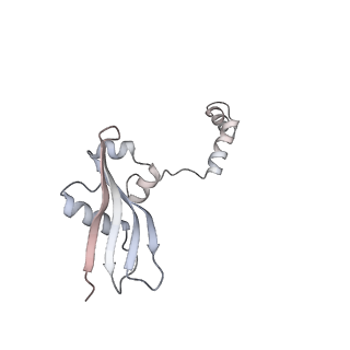 16729_8cmj_0_v1-6
Translocation intermediate 4 (TI-4*) of 80S S. cerevisiae ribosome with eEF2 in the absence of sordarin