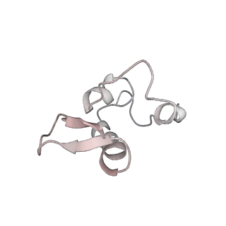 16729_8cmj_1_v1-6
Translocation intermediate 4 (TI-4*) of 80S S. cerevisiae ribosome with eEF2 in the absence of sordarin