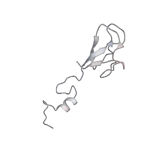 16729_8cmj_3_v1-5
Translocation intermediate 4 (TI-4*) of 80S S. cerevisiae ribosome with eEF2 in the absence of sordarin
