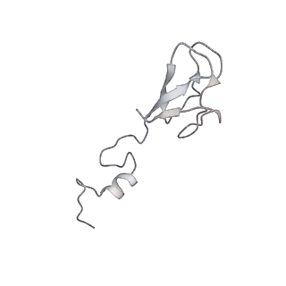 16729_8cmj_3_v1-6
Translocation intermediate 4 (TI-4*) of 80S S. cerevisiae ribosome with eEF2 in the absence of sordarin