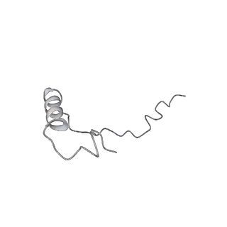 16729_8cmj_6_v1-6
Translocation intermediate 4 (TI-4*) of 80S S. cerevisiae ribosome with eEF2 in the absence of sordarin