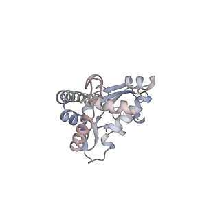 16729_8cmj_A_v1-5
Translocation intermediate 4 (TI-4*) of 80S S. cerevisiae ribosome with eEF2 in the absence of sordarin