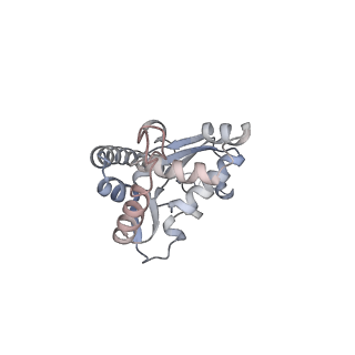 16729_8cmj_A_v1-6
Translocation intermediate 4 (TI-4*) of 80S S. cerevisiae ribosome with eEF2 in the absence of sordarin