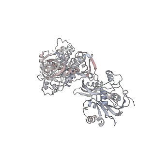16729_8cmj_Aa_v1-5
Translocation intermediate 4 (TI-4*) of 80S S. cerevisiae ribosome with eEF2 in the absence of sordarin