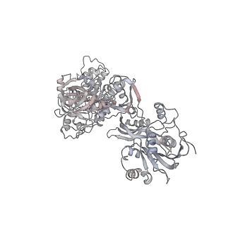 16729_8cmj_Aa_v1-6
Translocation intermediate 4 (TI-4*) of 80S S. cerevisiae ribosome with eEF2 in the absence of sordarin