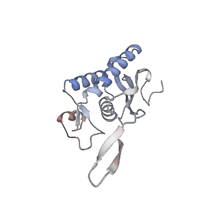 16729_8cmj_B_v1-5
Translocation intermediate 4 (TI-4*) of 80S S. cerevisiae ribosome with eEF2 in the absence of sordarin