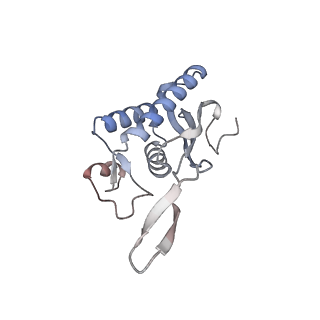 16729_8cmj_B_v1-6
Translocation intermediate 4 (TI-4*) of 80S S. cerevisiae ribosome with eEF2 in the absence of sordarin