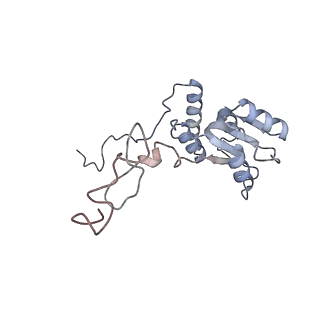 16729_8cmj_C_v1-5
Translocation intermediate 4 (TI-4*) of 80S S. cerevisiae ribosome with eEF2 in the absence of sordarin