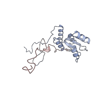 16729_8cmj_C_v1-6
Translocation intermediate 4 (TI-4*) of 80S S. cerevisiae ribosome with eEF2 in the absence of sordarin