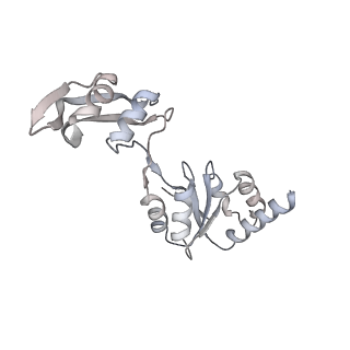 16729_8cmj_DD_v1-6
Translocation intermediate 4 (TI-4*) of 80S S. cerevisiae ribosome with eEF2 in the absence of sordarin