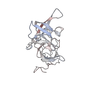 16729_8cmj_EE_v1-5
Translocation intermediate 4 (TI-4*) of 80S S. cerevisiae ribosome with eEF2 in the absence of sordarin