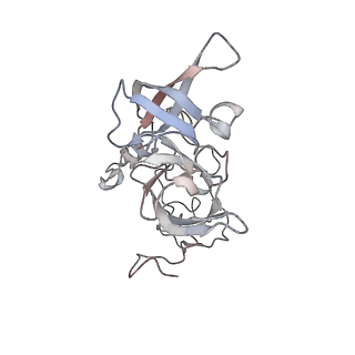 16729_8cmj_EE_v1-6
Translocation intermediate 4 (TI-4*) of 80S S. cerevisiae ribosome with eEF2 in the absence of sordarin