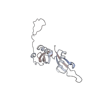 16729_8cmj_E_v1-5
Translocation intermediate 4 (TI-4*) of 80S S. cerevisiae ribosome with eEF2 in the absence of sordarin