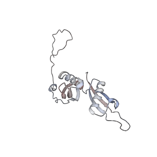 16729_8cmj_E_v1-6
Translocation intermediate 4 (TI-4*) of 80S S. cerevisiae ribosome with eEF2 in the absence of sordarin