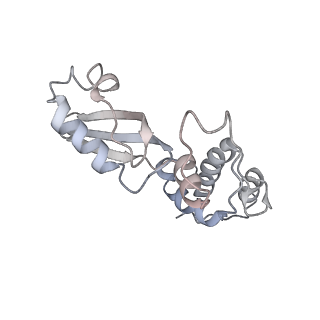 16729_8cmj_Ee_v1-5
Translocation intermediate 4 (TI-4*) of 80S S. cerevisiae ribosome with eEF2 in the absence of sordarin