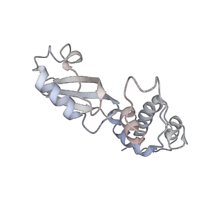 16729_8cmj_Ee_v1-6
Translocation intermediate 4 (TI-4*) of 80S S. cerevisiae ribosome with eEF2 in the absence of sordarin