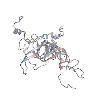 16729_8cmj_FF_v1-5
Translocation intermediate 4 (TI-4*) of 80S S. cerevisiae ribosome with eEF2 in the absence of sordarin